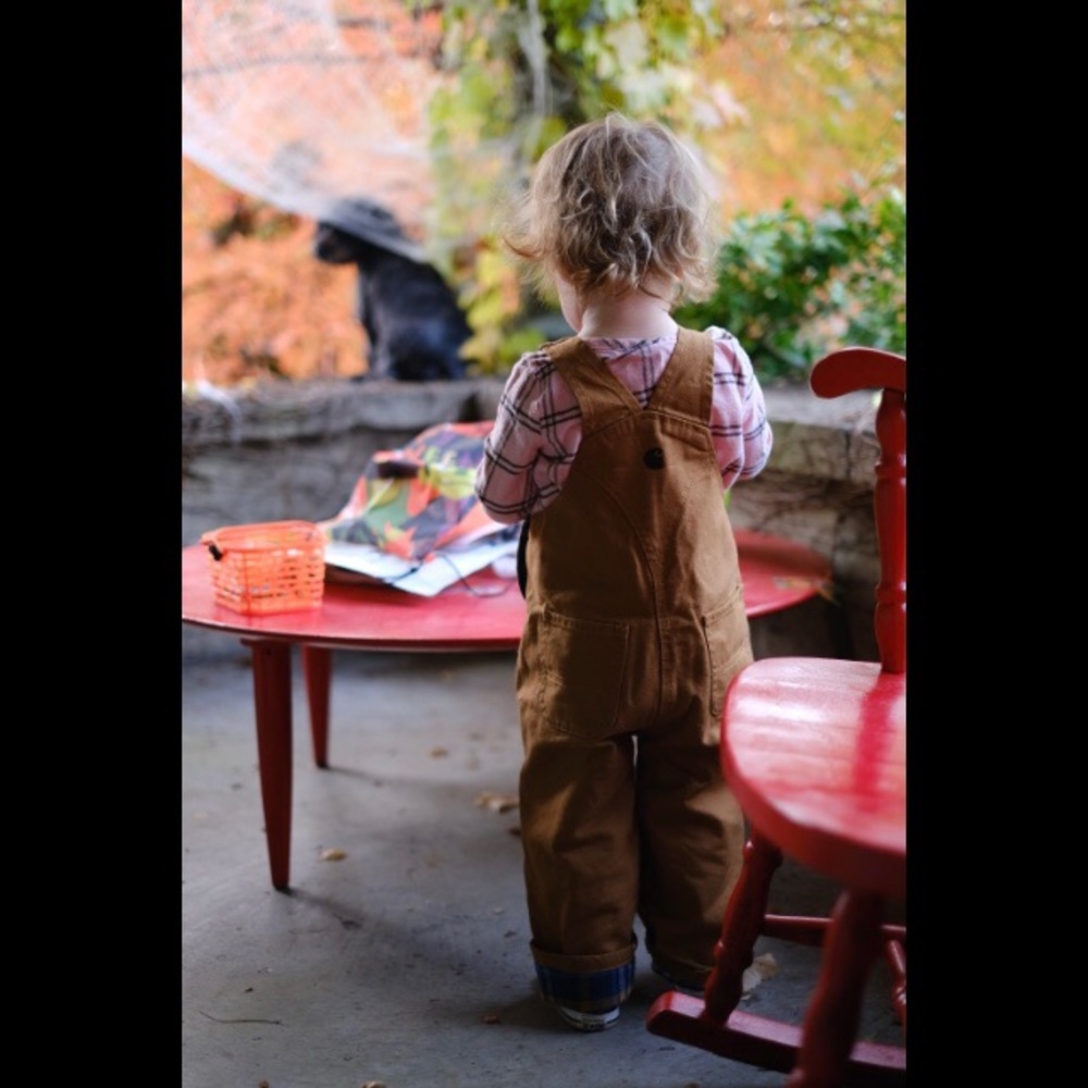 Carhartt Brown 2T toddler flannel lined overalls